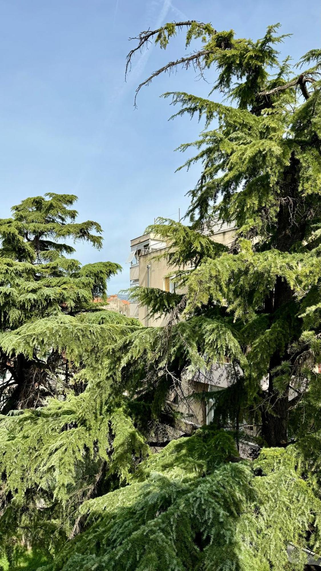 Jardin Rooms 斯普利特 外观 照片